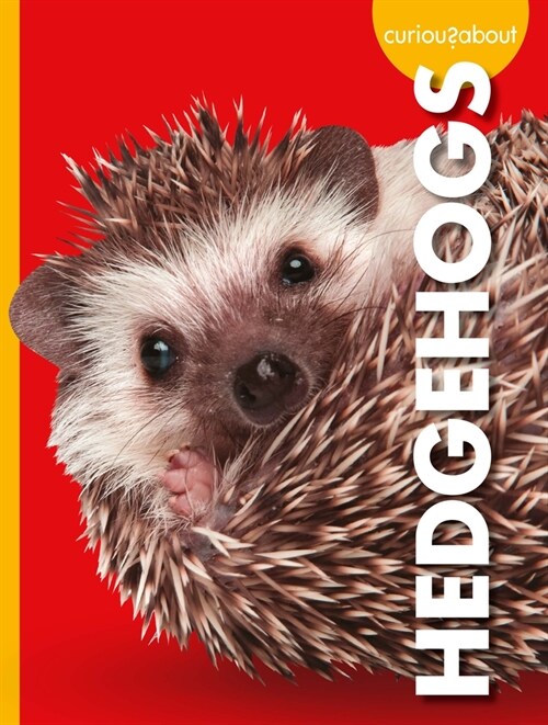 Curious about Hedgehogs (Library Binding)