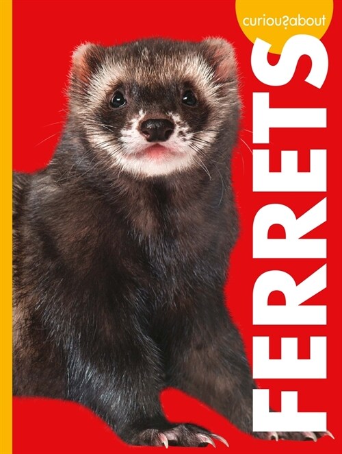 Curious about Ferrets (Library Binding)