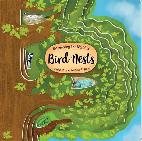 Discovering the World of Bird Nests (Board Books)