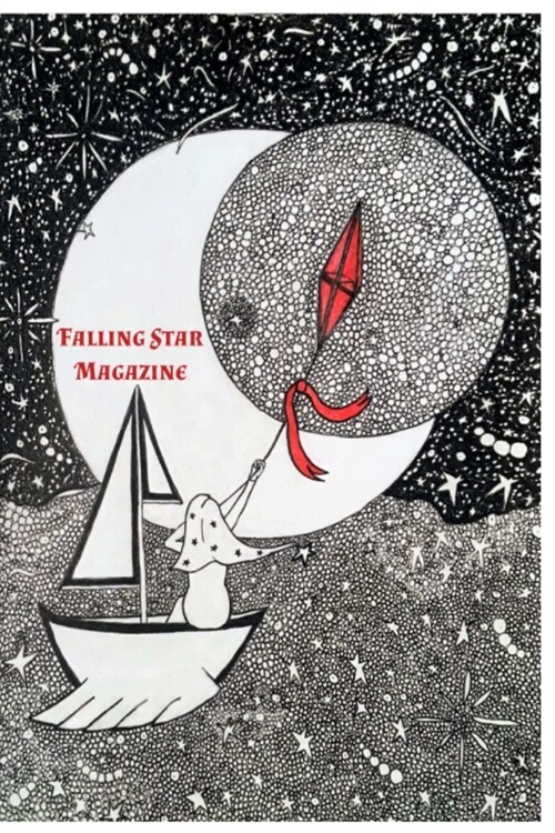 Falling Star 2018 (Paperback)