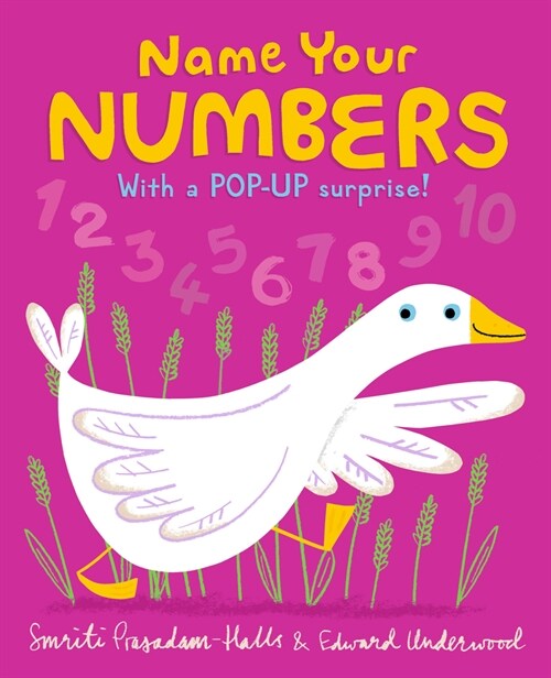 Name Your Numbers (Board Books)