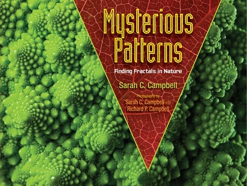 Mysterious Patterns: Finding Fractals in Nature (Paperback)