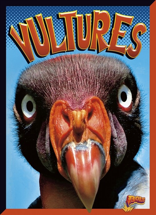 Vultures (Library Binding)