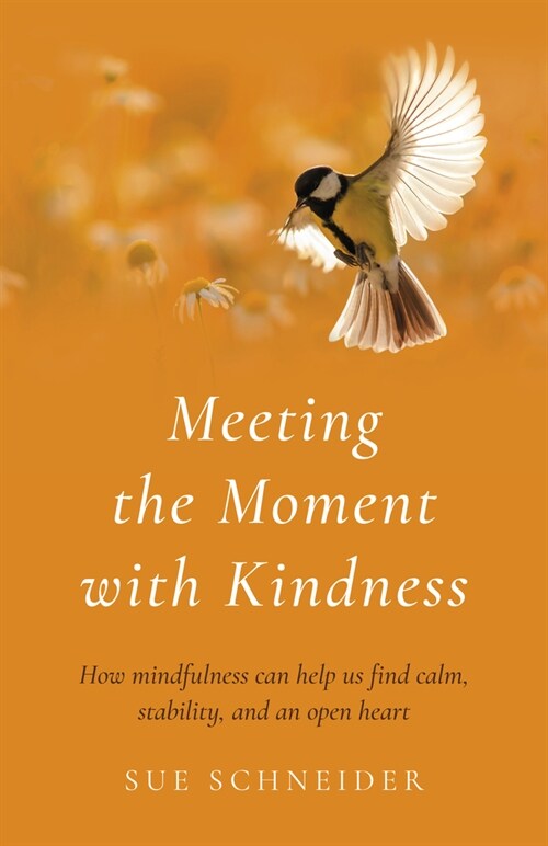 Meeting the Moment with Kindness : How mindfulness can help us find calm, stability, and an open heart (Paperback)