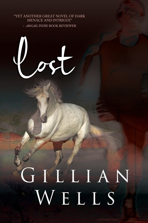 Lost (Paperback)