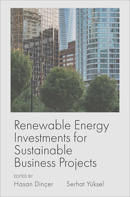 Renewable Energy Investments for Sustainable Business Projects (Hardcover)