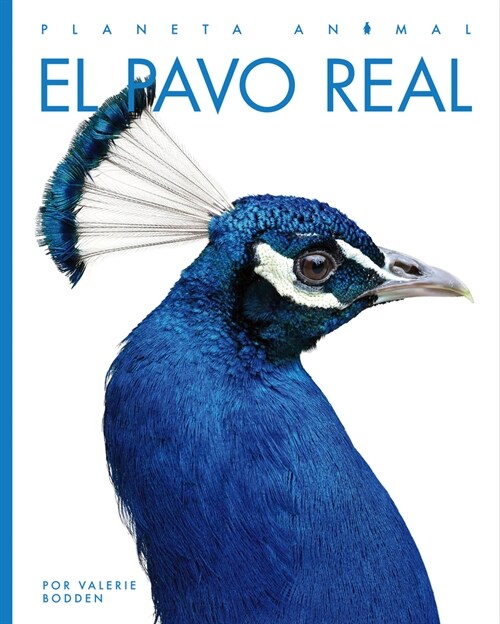 El Pavo Real (Library Binding)