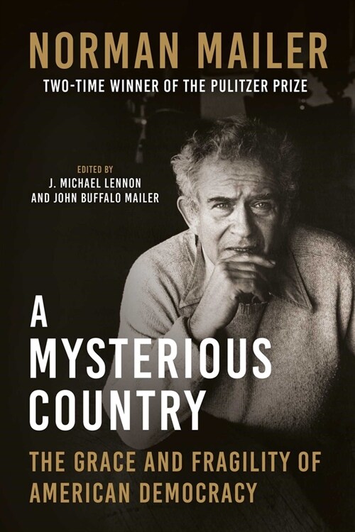 A Mysterious Country: The Grace and Fragility of American Democracy (Hardcover)