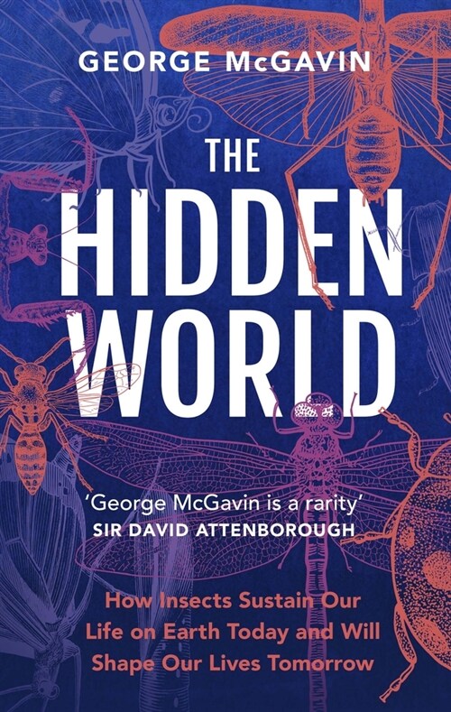 The Hidden World : How Insects Sustain Life on Earth Today and Will Shape Our Lives Tomorrow (Hardcover)