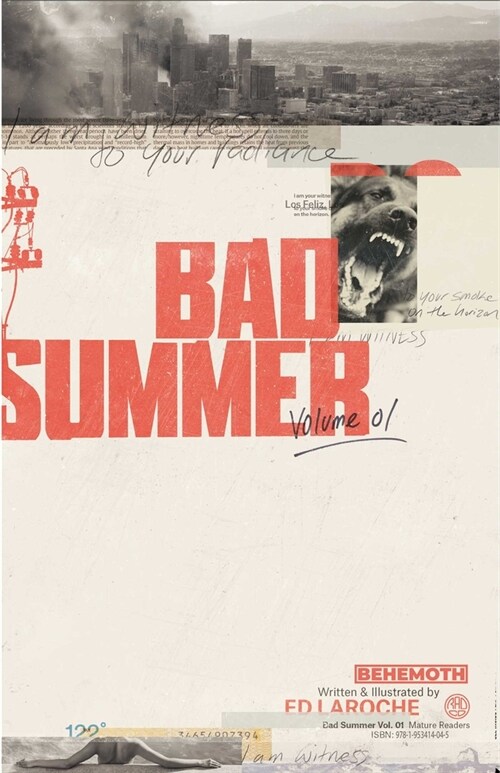Bad Summer (Paperback)