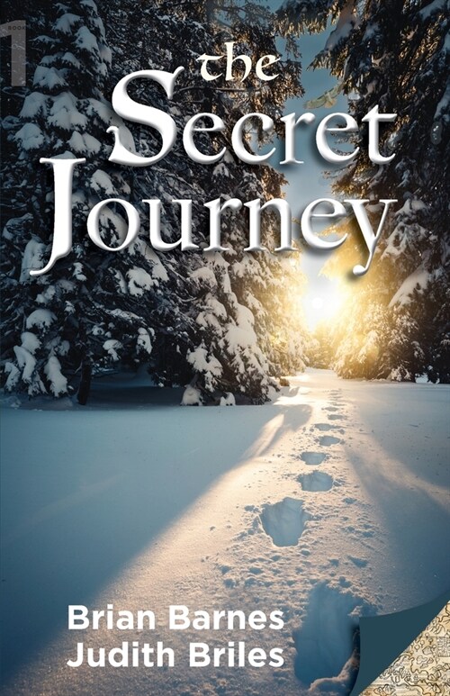 The Secret Journey (Paperback)