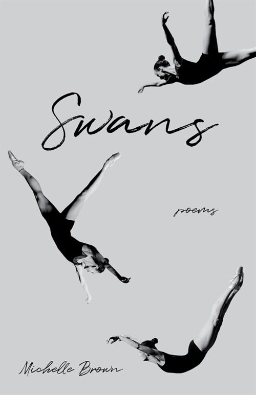 Swans (Paperback)