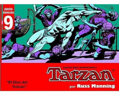 TARZAN PLANCHAS DOMINICALES 9 EL DIOS DEL VOLCAN (Book)