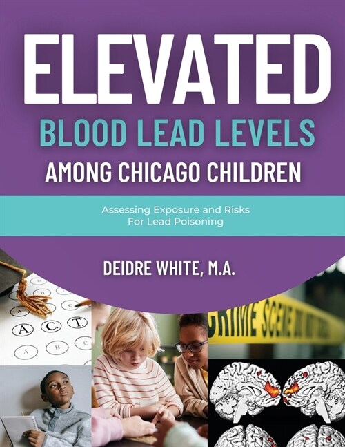 Elevated Blood Levels Among Chicago Children: Assessing Exposure and Risks for Lead Poisoning (Paperback)