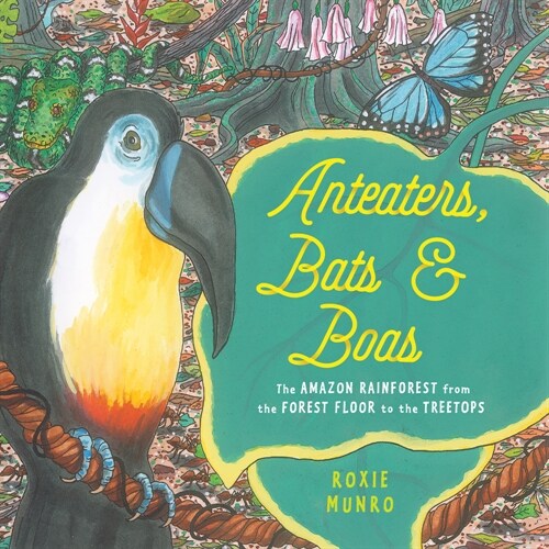 Anteaters, Bats & Boas: The Amazon Rainforest from the Forest Floor to the Treetops (Paperback)