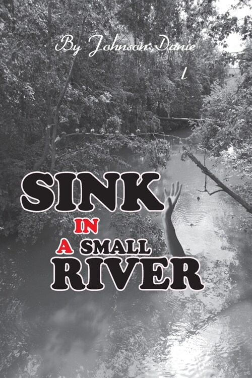 Sink in a Small River (Paperback)