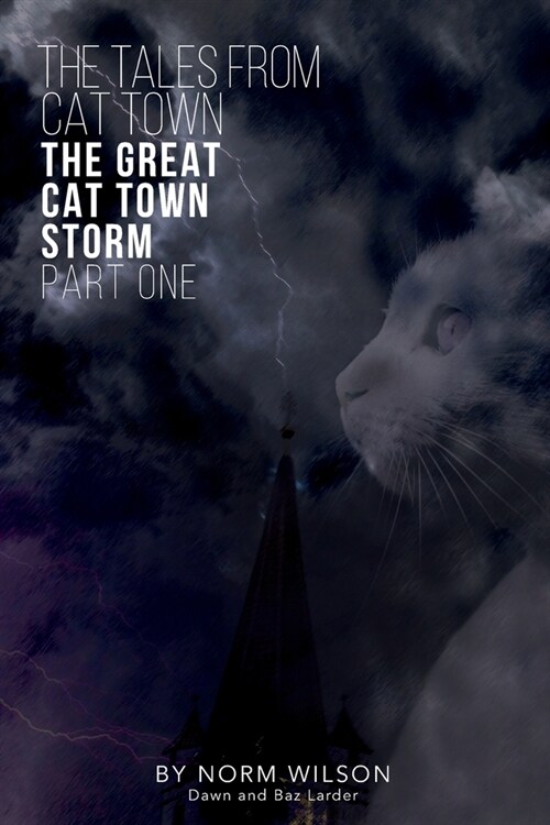 The Tales from Cat Town: The Great Cat Town Storm ( Part 1 ) (Paperback)