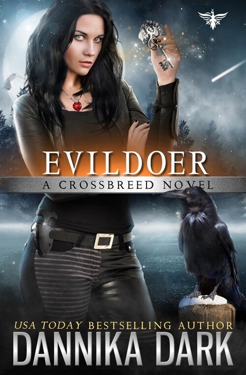 Evildoer (Paperback)