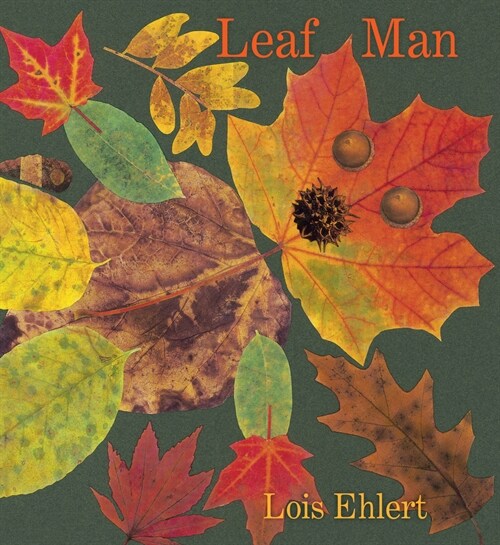 Leaf Man Board Book (Board Books)
