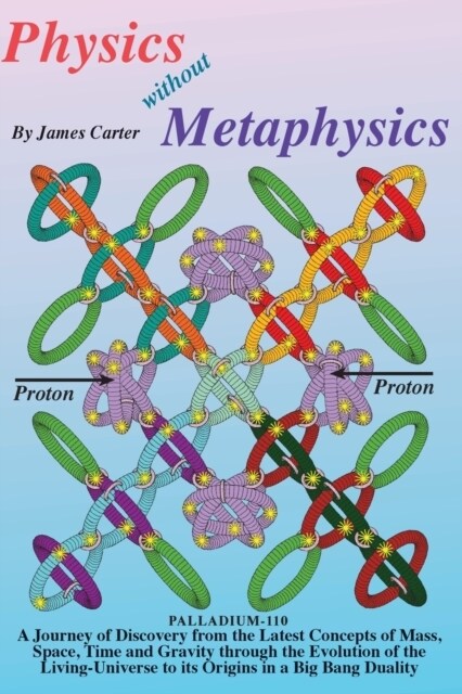 Physics Without Metaphysics (Paperback)