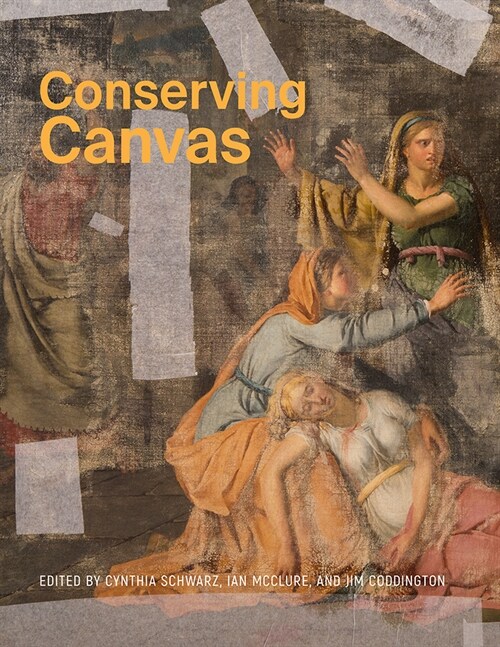 Conserving Canvas (Paperback)