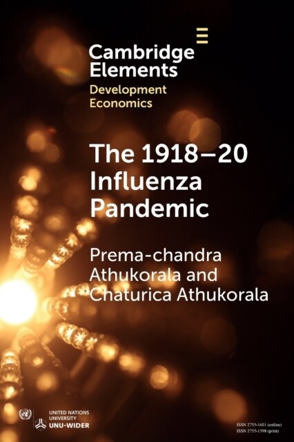 The 1918–20 Influenza Pandemic : A Retrospective in the Time of COVID-19 (Paperback)