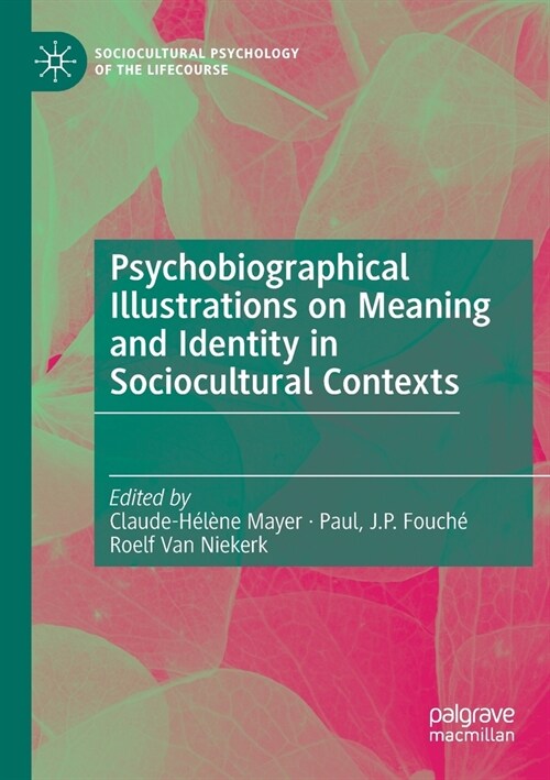 Psychobiographical Illustrations on Meaning and Identity in Sociocultural Contexts (Paperback)