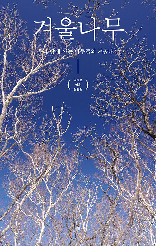[중고] 겨울나무