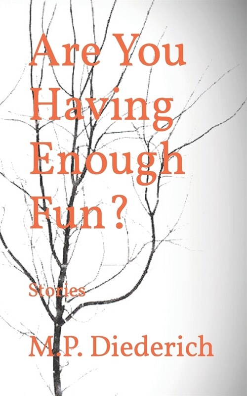 Are You Having Enough Fun?: Stories (Paperback)