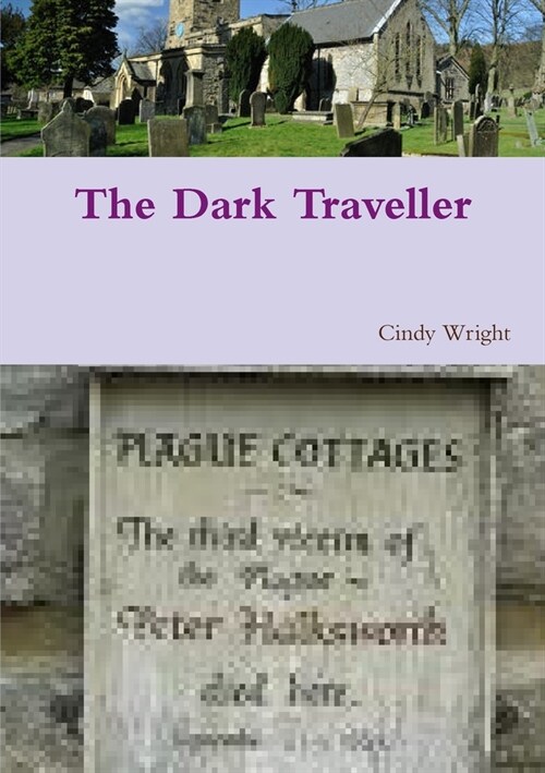 The Dark Traveller (Paperback)
