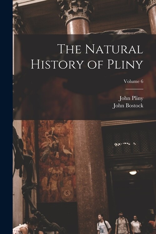 The Natural History of Pliny; Volume 6 (Paperback)