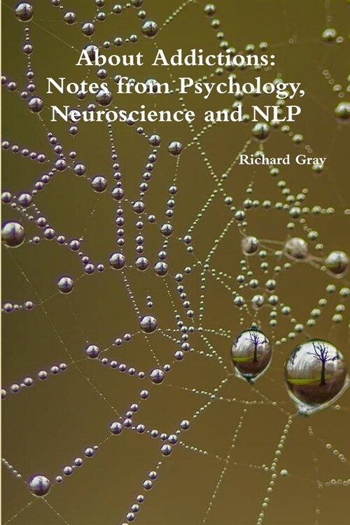 About Addictions: Notes from Psychology, Neuroscience and NLP (Paperback)