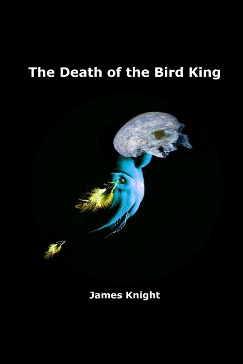 The Death of the Bird King (Paperback)