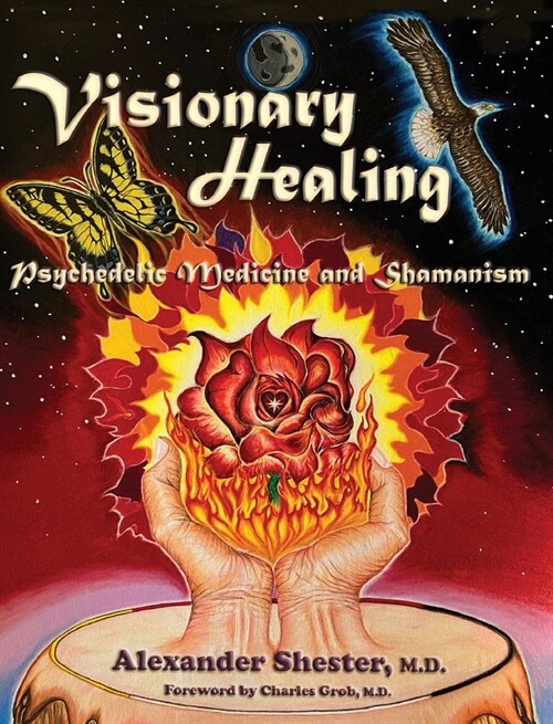 VISIONARY HEALING Psychedelic Medicine and Shamanism (Hardcover)
