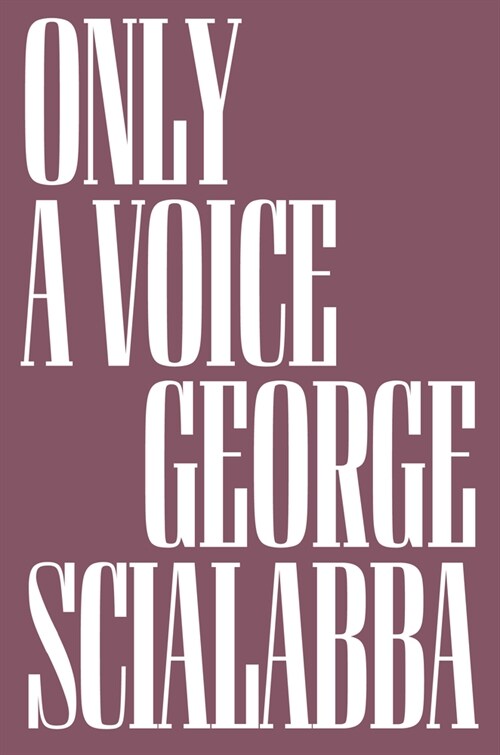 Only a Voice : Essays (Hardcover)