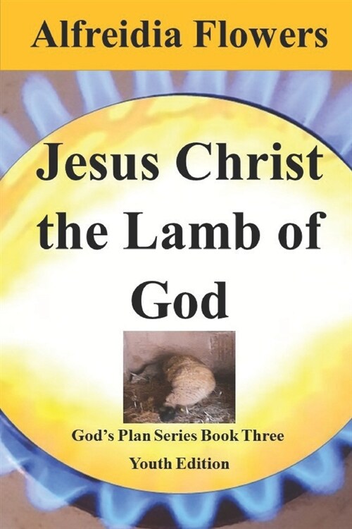 Jesus Christ the Lamb of God: Gods Plan Series Book Three (Paperback)