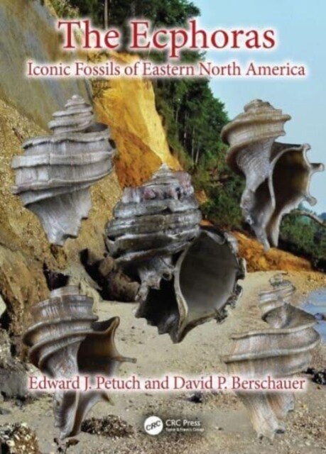 The Ecphoras : Iconic Fossils of Eastern North America (Hardcover)