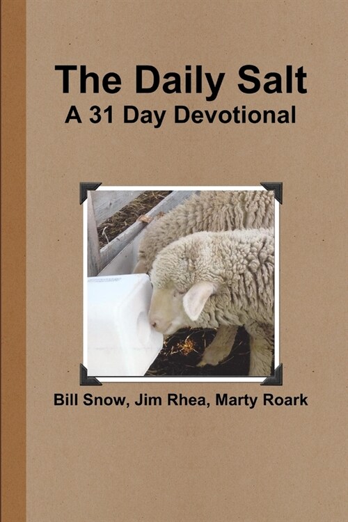 The Daily Salt (Paperback)