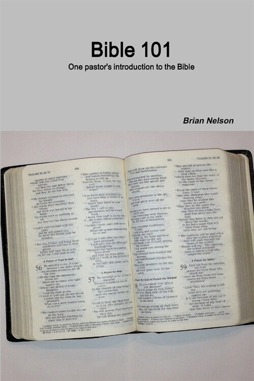 Bible 101 (Paperback)