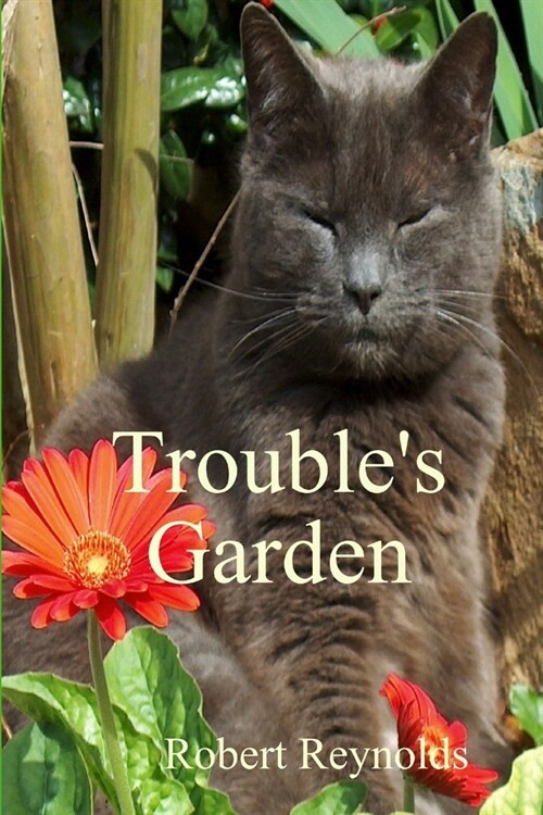 Troubles Garden (Paperback)