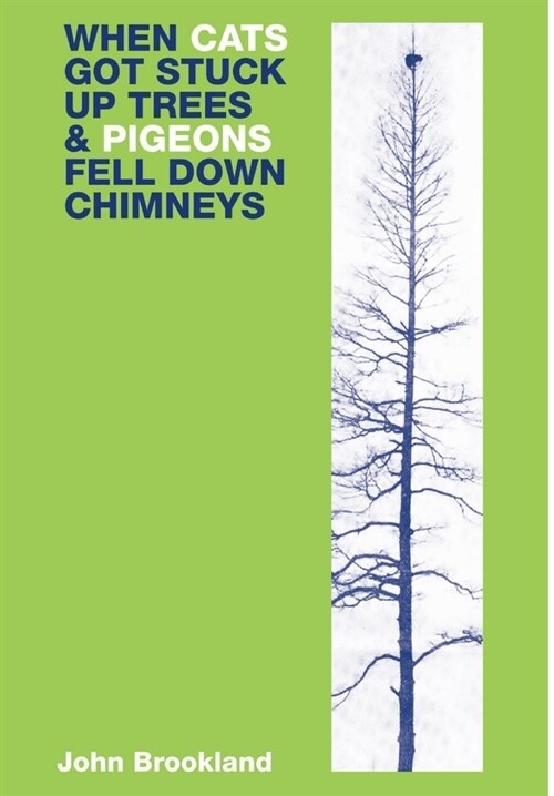 When Cats Got Stuck Up Trees & Pigeons Fell Down Chimneys. (Hardcover)