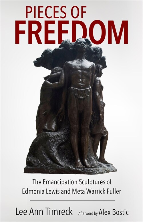 Pieces of Freedom: The Emancipation Sculptures of Edmonia Lewis and Meta Warrick Fuller (Paperback)