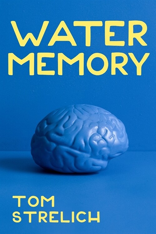 Water Memory (Paperback)