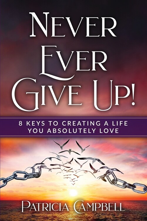 Never Ever Give Up!: 8 Keys to Creating a Life You Absolutely Love(c) (Paperback)