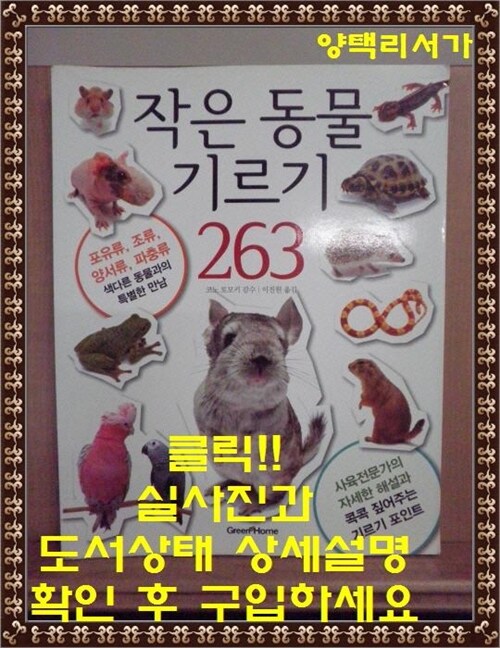 [중고] 작은 동물 기르기 263