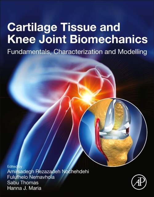 Cartilage Tissue and Knee Joint Biomechanics : Fundamentals, Characterization and Modelling (Paperback)