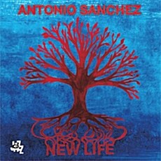 [수입] Antonio Sanchez - New Life