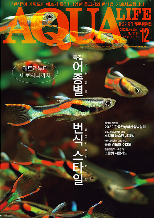 아쿠아 라이프 Aqua Life 2022.12