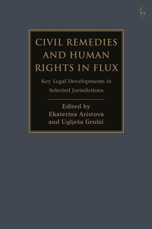 Civil Remedies and Human Rights in Flux : Key Legal Developments in Selected Jurisdictions (Paperback)