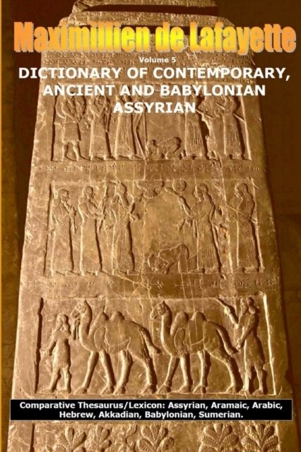 Vol. 5. DICTIONARY OF CONTEMPORARY, ANCIENT AND BABYLONIAN ASSYRIAN (Paperback)